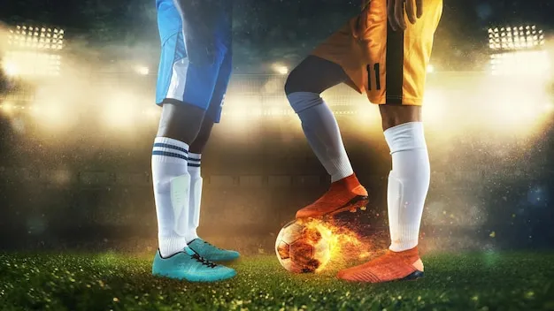 用户在手机上使用6T体育APP